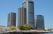 2019年4月ご成約