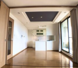 グランアッシュ谷町ラフィナーテ