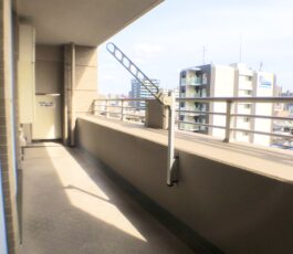 グランアッシュ谷町ラフィナーテ