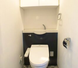 グランアッシュ谷町ラフィナーテ