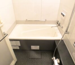 グランアッシュ谷町ラフィナーテ