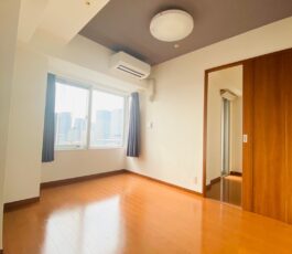 淀屋橋アップルタワーレジデンス