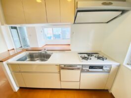 淀屋橋アップルタワーレジデンス