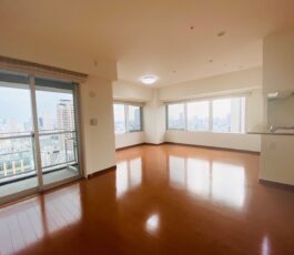 淀屋橋アップルタワーレジデンス