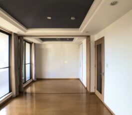 グランアッシュ谷町ラフィナーテ