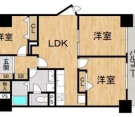 ノバカネイチ堂ヶ芝