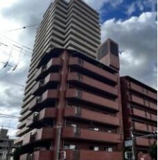 ノバカネイチ堂ヶ芝