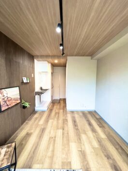 ロイヤルシード小阪　203　（フルリノベーション）