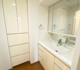 淀屋橋アップルタワーレジデンス