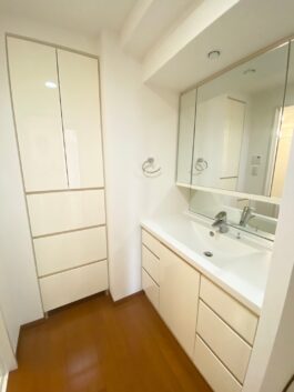 淀屋橋アップルタワーレジデンス