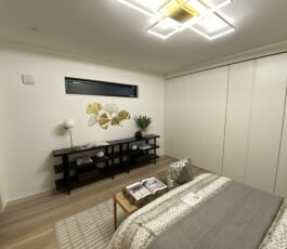天王寺区真法院町　新築戸建