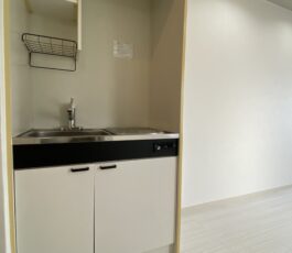 ロイヤルシード小阪　307