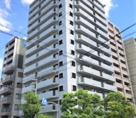 グラン・ドムール南大江パークタワー