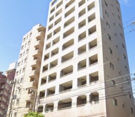 プロパレス真田山プリーマ