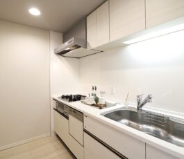 プレミスト堺筋本町ラディーナ