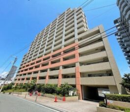 ヒルズ天王寺堂ヶ芝