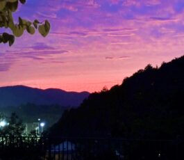 箕面市森町中3丁目　中古戸建