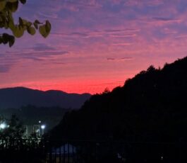 箕面市森町中3丁目　戸建