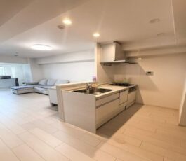 ハイネス上本町