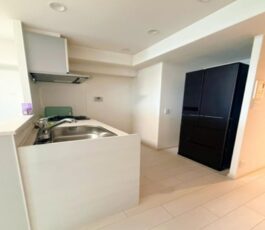 ハイネス上本町