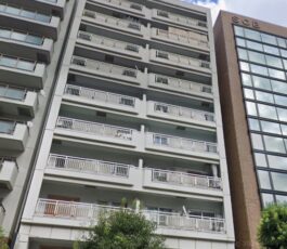 大手前ストークマンション