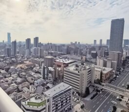 レジデンスタワー上本町